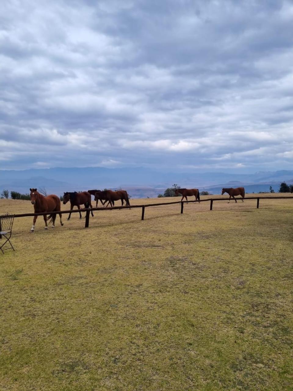 Гостевой дом Drakensberg Mountain Retreat Бергвилль Экстерьер фото