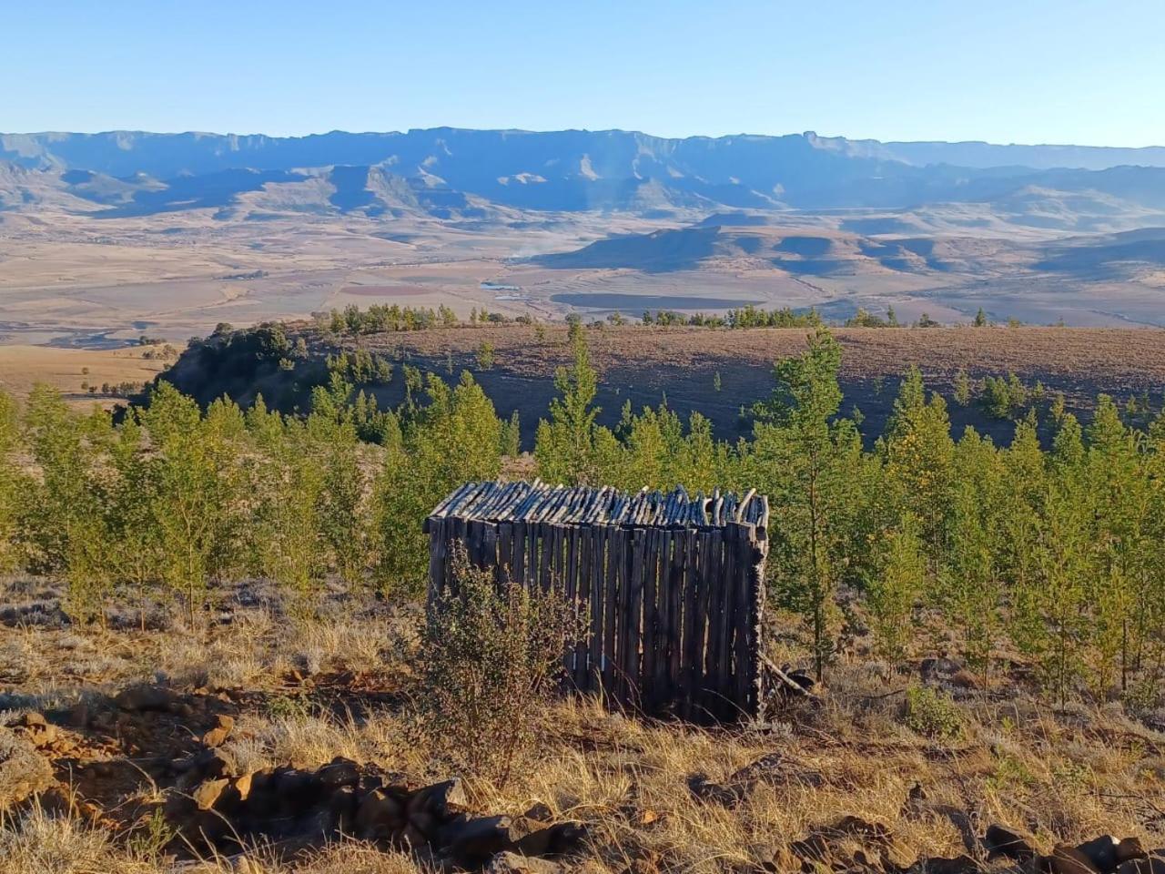 Гостевой дом Drakensberg Mountain Retreat Бергвилль Экстерьер фото